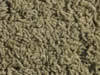 freize carpet sample