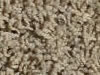 Freize Carpet Sample