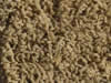 freize carpet sample