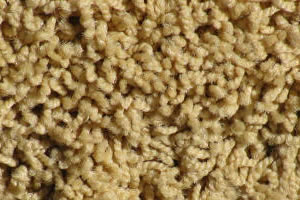 Freize Carpet Sample