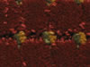 luxemburg hospitality carpet sample