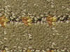 luxemburg hospitality carpet sample