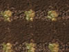 luxemburg hospitality carpet sample