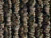 berber carpet sample