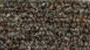 commercial carpet sample