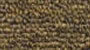 commercial carpet sample