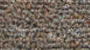commercial carpet sample