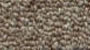 commercial carpet sample