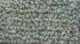 commercial carpet sample