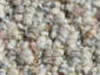 berber carpet sample