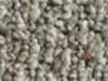 berber carpet sample
