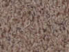 Freize Carpet Sample