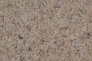 Freize Carpet Sample
