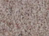Freize Carpet Sample