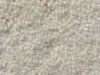 Plush Velvet Stainmaster Carpet