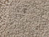 Plush Velvet Stainmaster Carpet