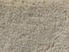 Plush Velvet Stainmaster Carpet