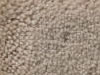 Plush Velvet Stainmaster Carpet