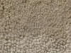 Plush Velvet Stainmaster Carpet