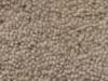 Plush Velvet Stainmaster Carpet