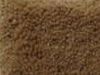 Plush Velvet Stainmaster Carpet