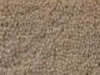 Plush Velvet Stainmaster Carpet