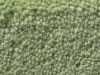Plush Velvet Stainmaster Carpet