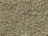 Plush Velvet Stainmaster Carpet