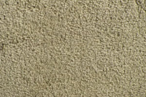 Plush Velvet Stainmaster Carpet