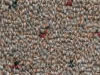 commercial carpet sample