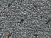 commercial carpet sample
