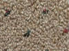 commercial carpet sample
