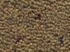 commercial carpet sample