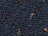 commercial carpet sample