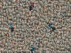 commercial carpet sample