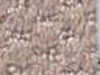 commercial carpet sample