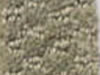 commercial carpet sample