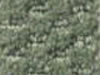 commercial carpet sample