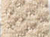 commercial carpet sample
