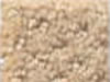 commercial carpet sample