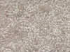 Textured Carpet Sample