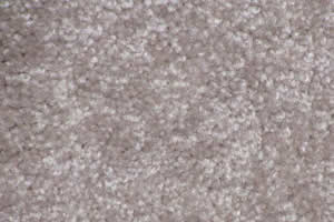 Textured Carpet Sample