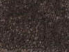 Textured Carpet Sample