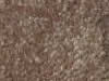 Textured Carpet Sample