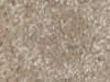 Textured Carpet Sample