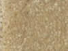 Textured Carpet Sample