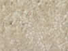 Textured Carpet Sample
