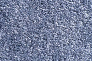 Textured Carpet Sample