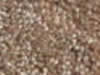 Textured Carpet Sample