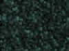 Textured Carpet Sample